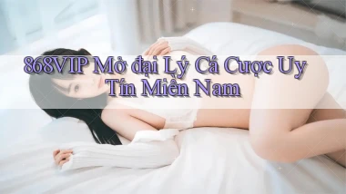 868vip  mở đại lý cá cược uy tín miền nam