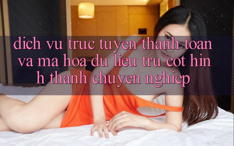 Dịch vụ trực tuyến Thanh toán Và Mã hóa dữ liệu: Trụ Cột Hình thành Chuyên nghiệp