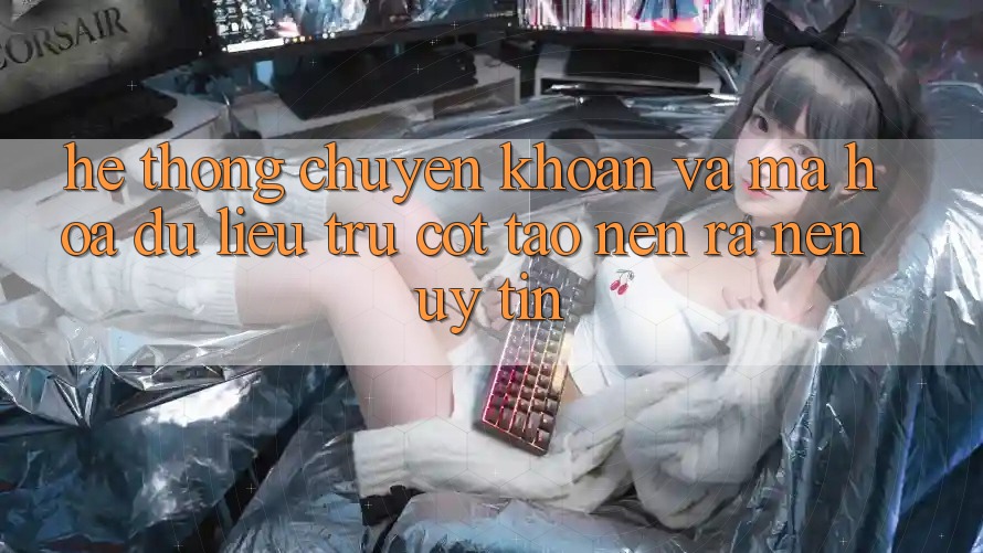 Hệ Thống Chuyển khoản Và Mã hóa dữ liệu: Trụ Cột Tạo nên ra Nên Uy Tín