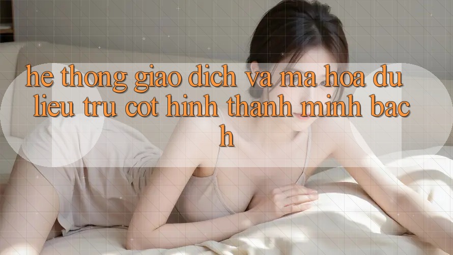 Hệ Thống Giao Dịch Và Mã hóa dữ liệu: Trụ Cột Hình thành Minh bạch