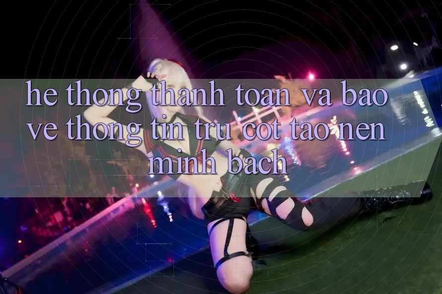 Hệ thống Thanh toán Và Bảo vệ thông tin: Trụ Cột Tạo Nên Minh bạch