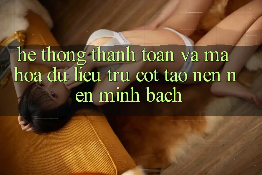 Hệ Thống Thanh toán Và Mã hóa dữ liệu: Trụ Cột Tạo nên nên Minh bạch