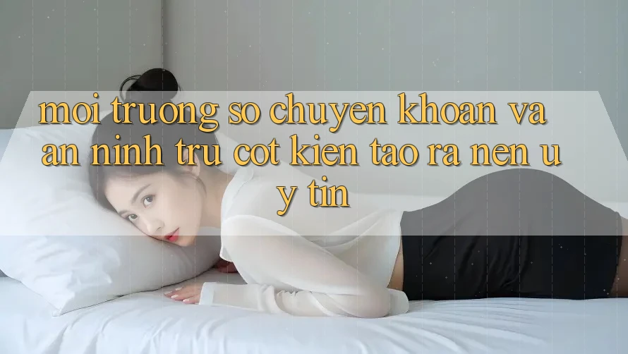 Môi trường số Chuyển khoản Và An ninh: Trụ Cột Kiến tạo ra Nên Uy Tín