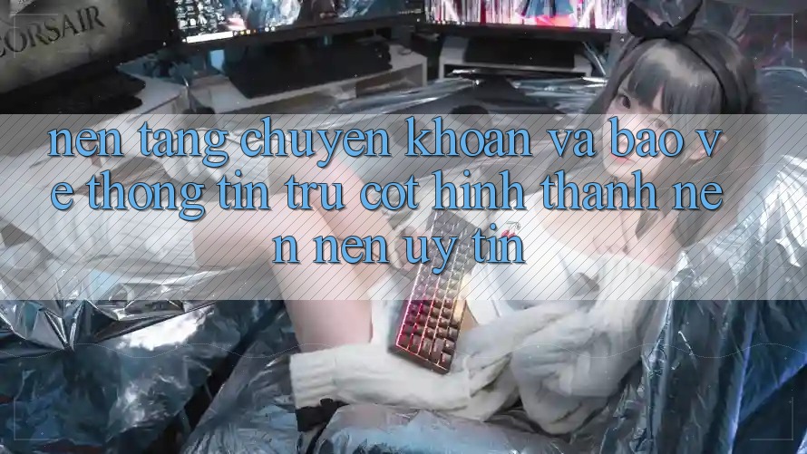 Nền tảng Chuyển khoản Và Bảo vệ thông tin: Trụ Cột Hình thành nên Nên Uy Tín