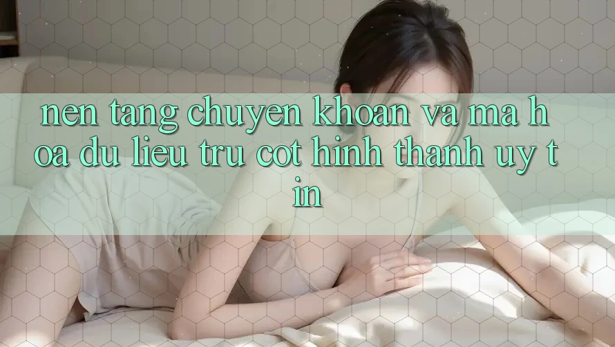 Nền tảng Chuyển khoản Và Mã hóa dữ liệu: Trụ Cột Hình thành Uy Tín Nền tảng Chuyển khoản Và Mã hóa dữ liệu: Trụ Cột Hình thành Uy Tín